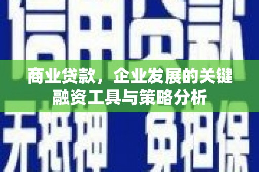 红寺堡商业贷款，企业发展的关键融资工具与策略分析
