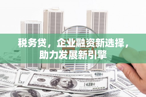 红寺堡税务贷，企业融资新选择，助力发展新引擎