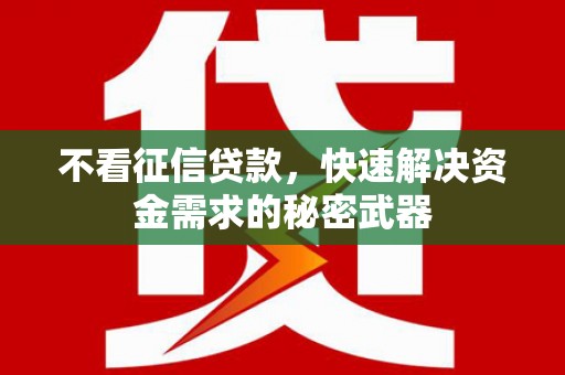 红寺堡不看征信贷款，快速解决资金需求的秘密武器