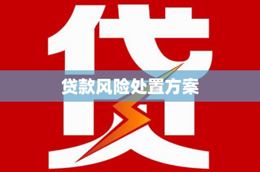 红寺堡贷款风险处置方案