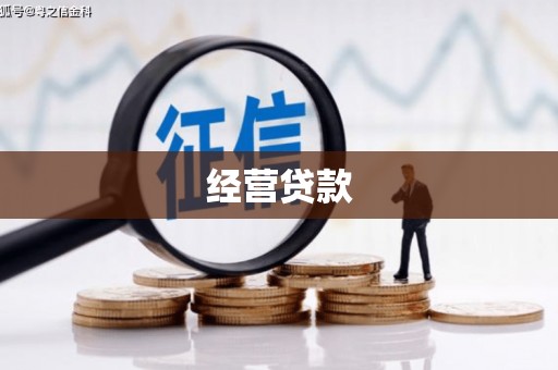 红寺堡经营贷款