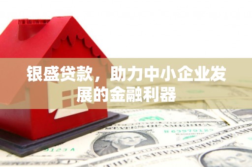 红寺堡银盛贷款，助力中小企业发展的金融利器