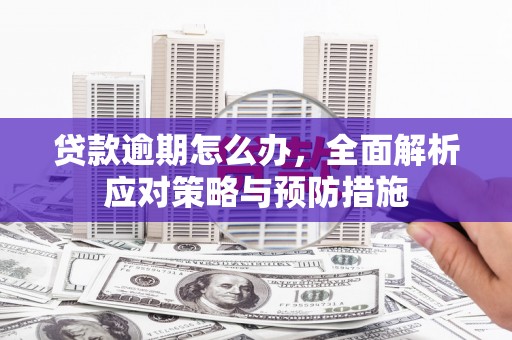 红寺堡贷款逾期怎么办，全面解析应对策略与预防措施