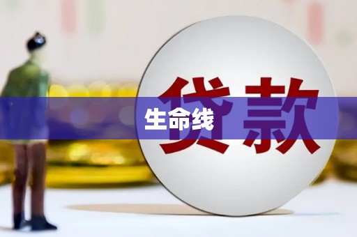 红寺堡生命线