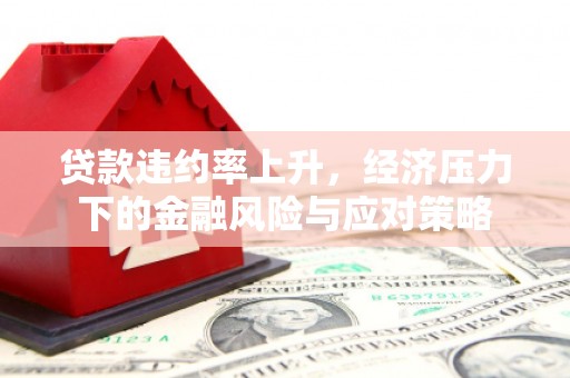 红寺堡贷款违约率上升，经济压力下的金融风险与应对策略