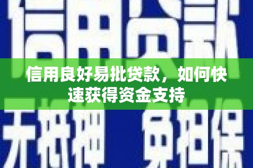 红寺堡信用良好易批贷款，如何快速获得资金支持