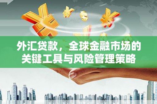 红寺堡外汇贷款，全球金融市场的关键工具与风险管理策略