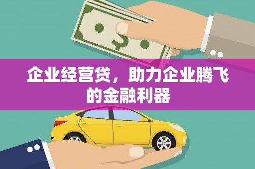红寺堡企业经营贷，助力企业腾飞的金融利器