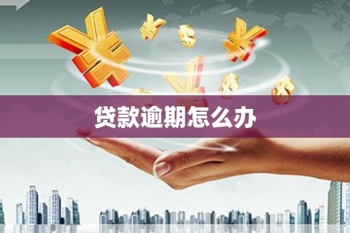 红寺堡贷款逾期怎么办