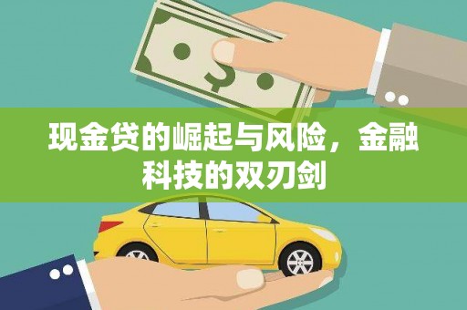 红寺堡现金贷的崛起与风险，金融科技的双刃剑