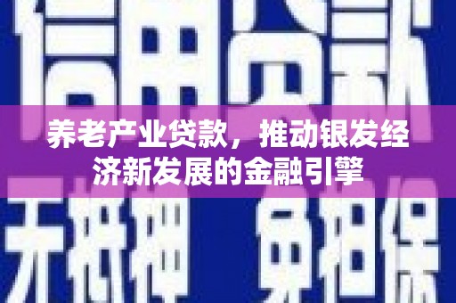 红寺堡养老产业贷款，推动银发经济新发展的金融引擎