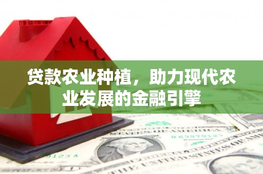 红寺堡贷款农业种植，助力现代农业发展的金融引擎