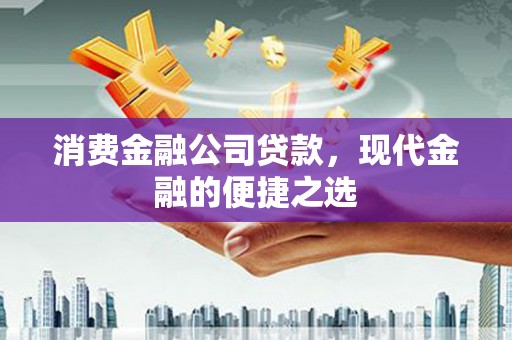 红寺堡消费金融公司贷款，现代金融的便捷之选