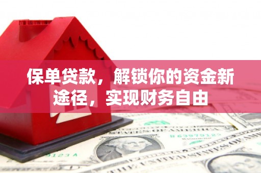 红寺堡保单贷款，解锁你的资金新途径，实现财务自由