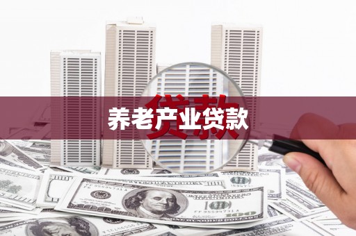 红寺堡养老产业贷款