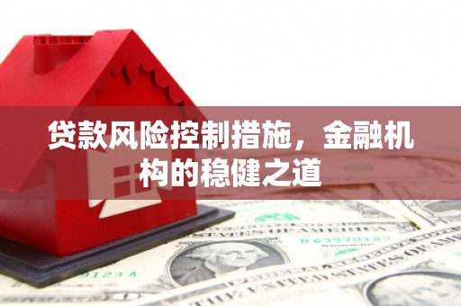 红寺堡贷款风险控制措施，金融机构的稳健之道