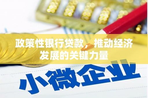 红寺堡政策性银行贷款，推动经济发展的关键力量