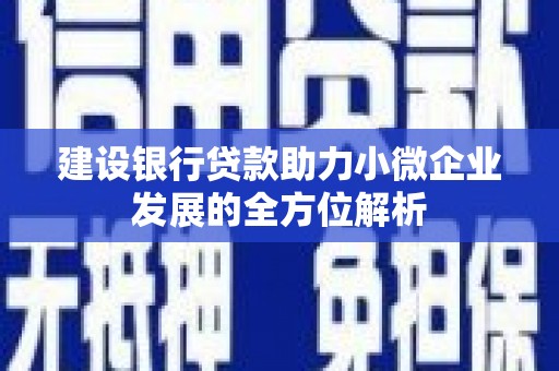 红寺堡建设银行贷款助力小微企业发展的全方位解析