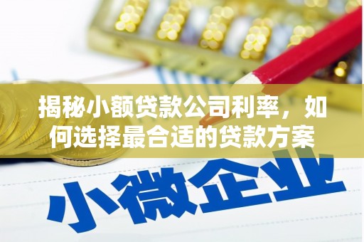 红寺堡揭秘小额贷款公司利率，如何选择最合适的贷款方案