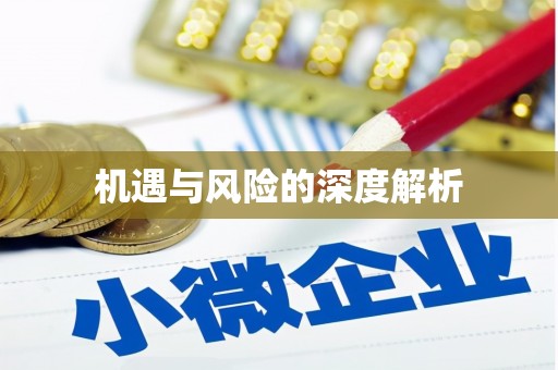 红寺堡机遇与风险的深度解析