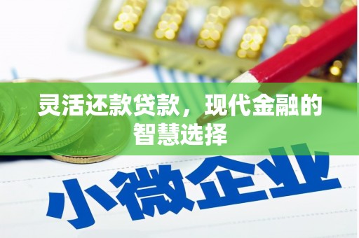 红寺堡灵活还款贷款，现代金融的智慧选择