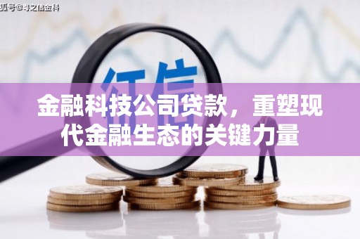 红寺堡金融科技公司贷款，重塑现代金融生态的关键力量