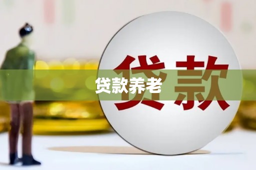 红寺堡贷款养老