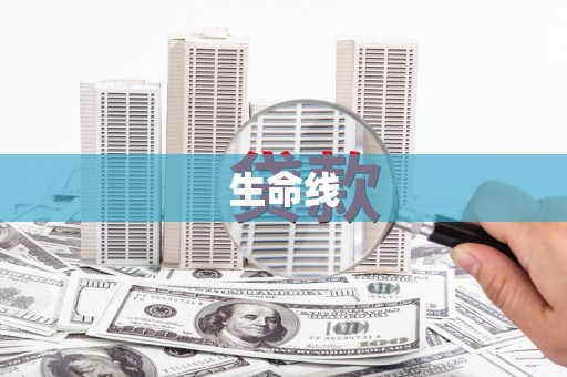红寺堡生命线