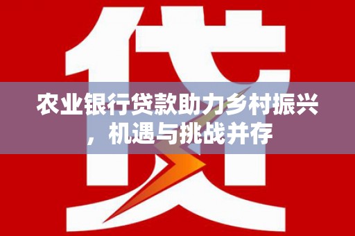 红寺堡农业银行贷款助力乡村振兴，机遇与挑战并存