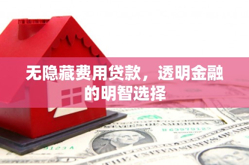 红寺堡无隐藏费用贷款，透明金融的明智选择