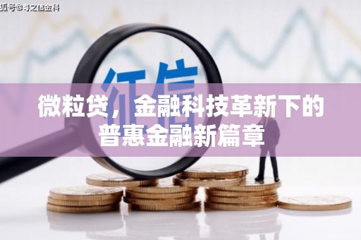 红寺堡微粒贷，金融科技革新下的普惠金融新篇章