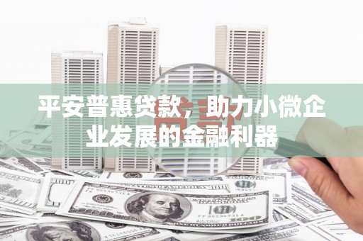 红寺堡平安普惠贷款，助力小微企业发展的金融利器