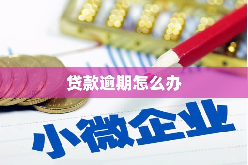 红寺堡贷款逾期怎么办
