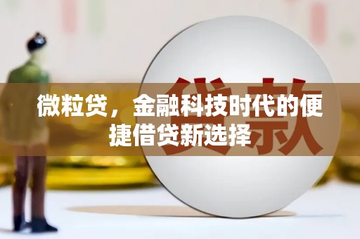 红寺堡微粒贷，金融科技时代的便捷借贷新选择