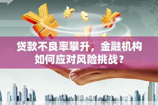 红寺堡贷款不良率攀升，金融机构如何应对风险挑战？