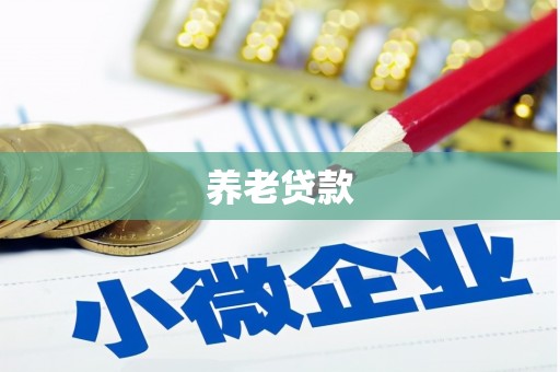 红寺堡养老贷款