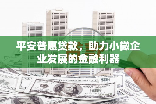 红寺堡平安普惠贷款，助力小微企业发展的金融利器