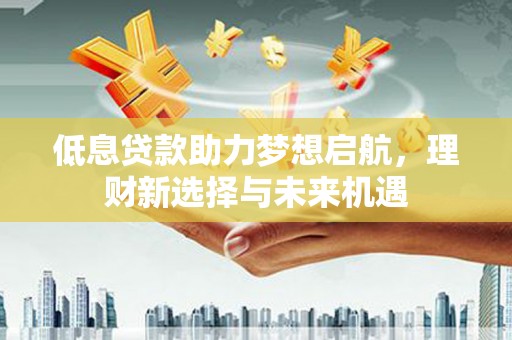 红寺堡低息贷款助力梦想启航，理财新选择与未来机遇