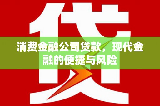 红寺堡消费金融公司贷款，现代金融的便捷与风险