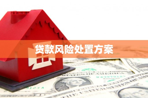 红寺堡贷款风险处置方案