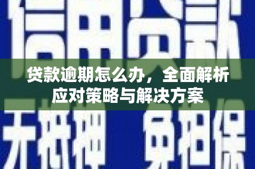 红寺堡贷款逾期怎么办，全面解析应对策略与解决方案