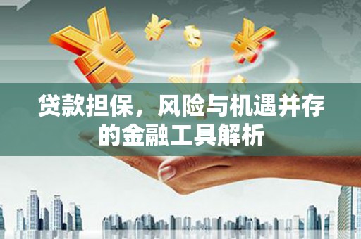 红寺堡贷款担保，风险与机遇并存的金融工具解析