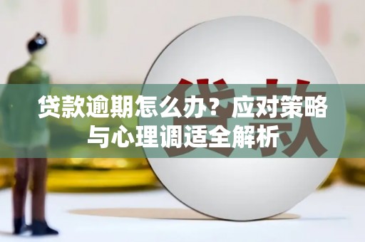 红寺堡贷款逾期怎么办？应对策略与心理调适全解析