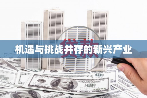 红寺堡机遇与挑战并存的新兴产业