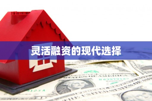 红寺堡灵活融资的现代选择