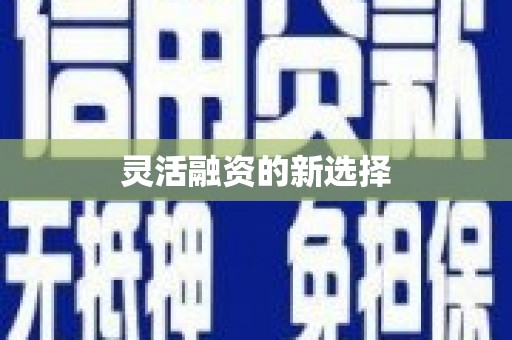 红寺堡灵活融资的新选择