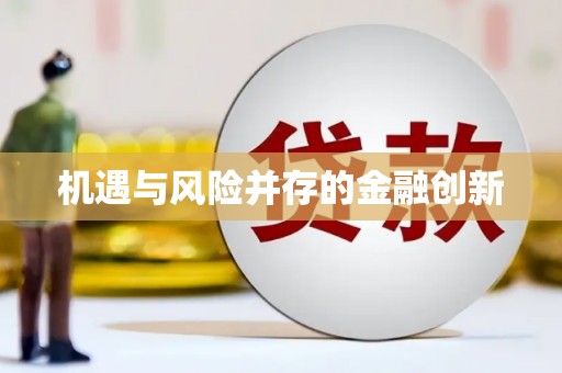 红寺堡机遇与风险并存的金融创新