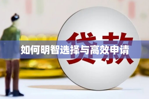 红寺堡如何明智选择与高效申请