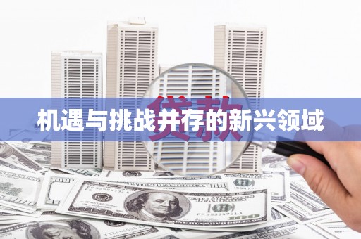 红寺堡机遇与挑战并存的新兴领域