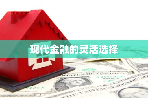 红寺堡现代金融的灵活选择